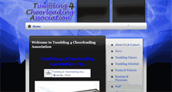 Desktop Screenshot of cheerleadingacademy.com
